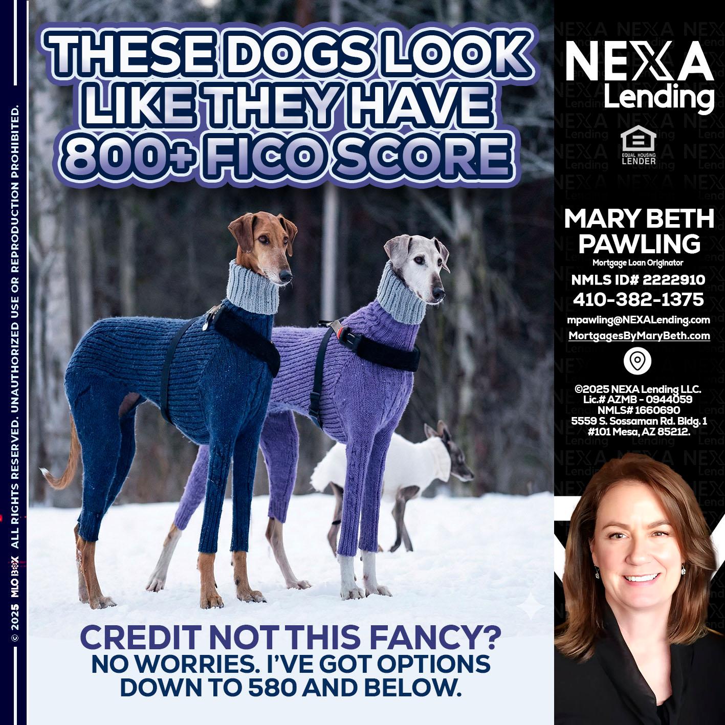 THESE DOGS LOOK - Mary Beth Pawling -Mortgage Loan Originator
